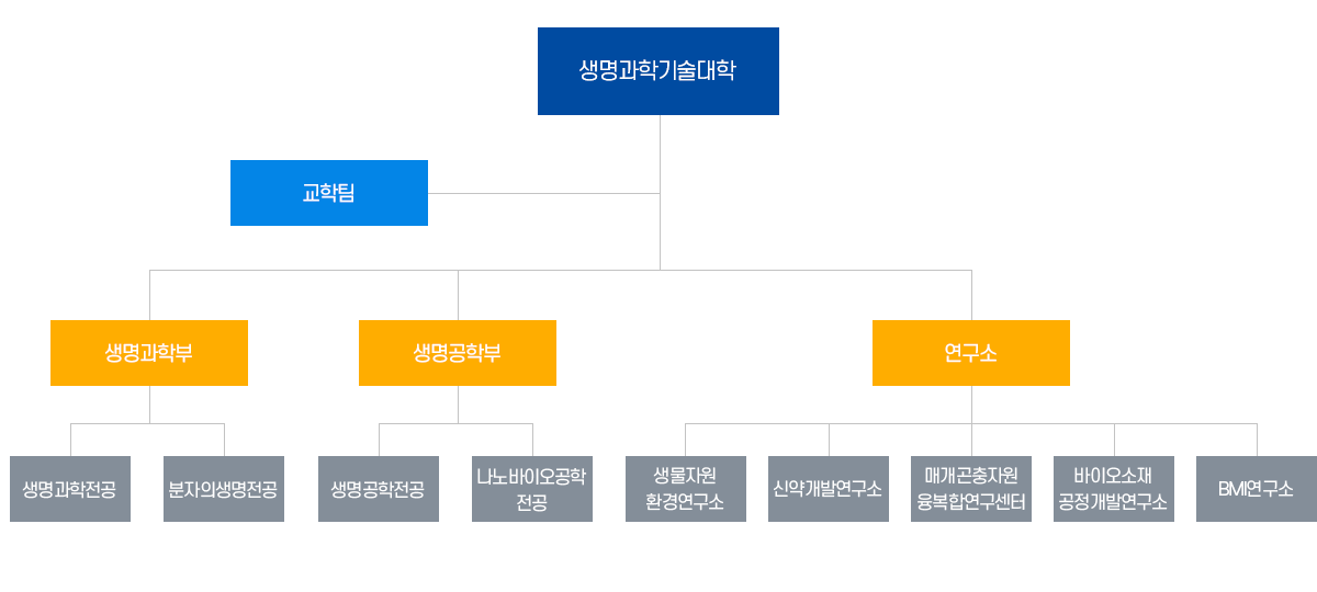 조직도