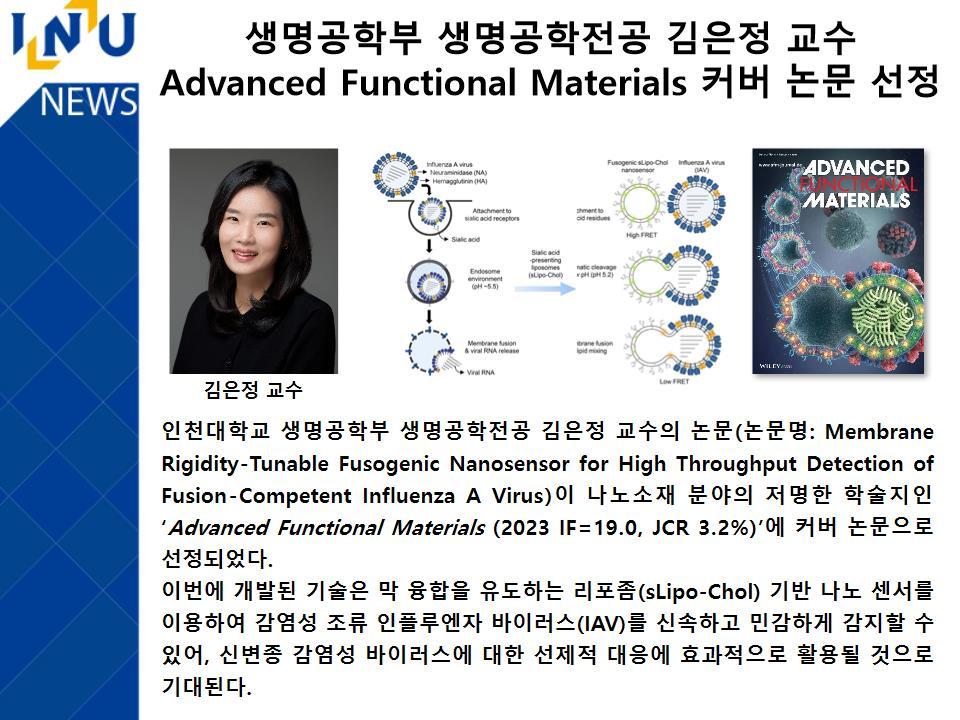 [2023년]생명공학부 생명공학전공 김은정 교수 Advanced Functional Materials 커버 논문 선정 첨부 이미지